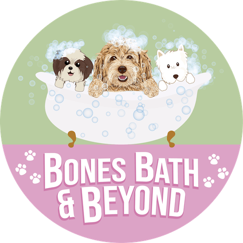 Pet bath store and beyond